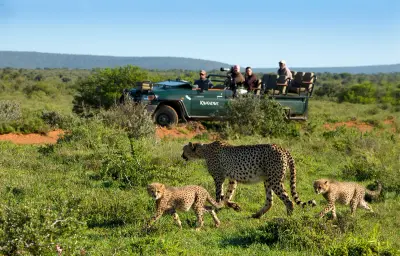 Melton Manor, Eastern Cape, South Africa