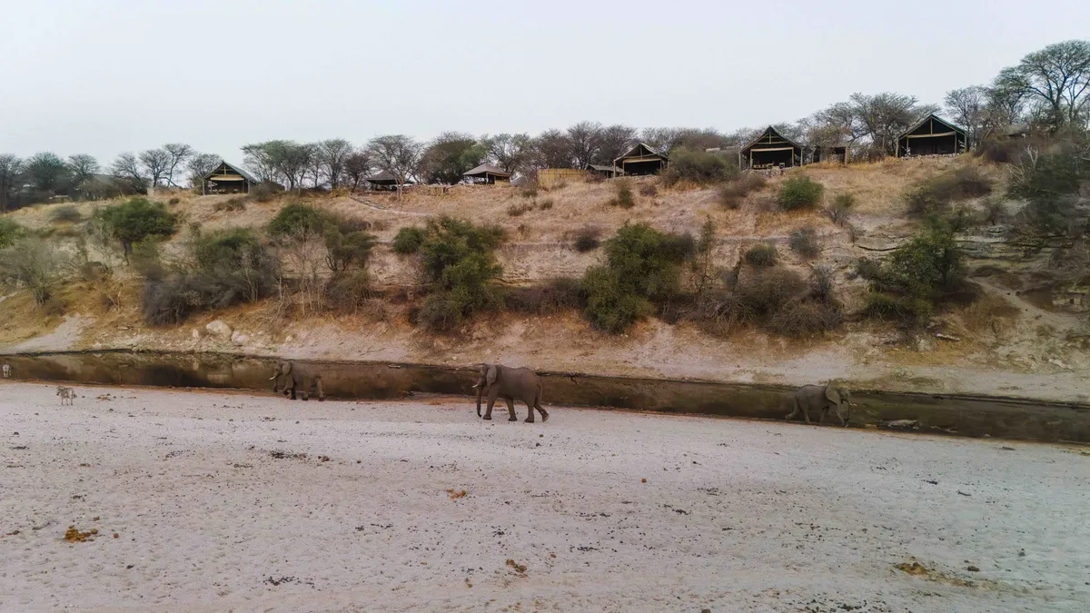 Meno a Kwena — photo 4
