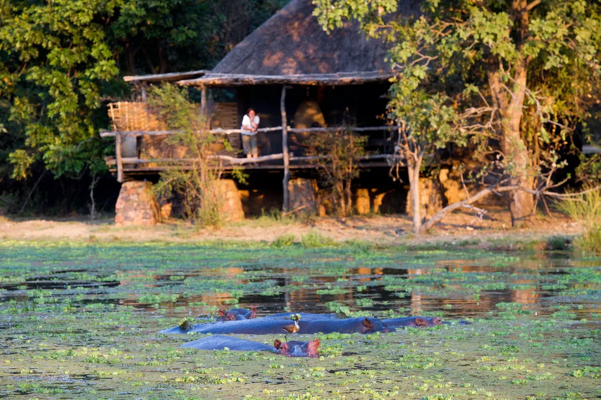 Mfuwe Lodge — photo 14