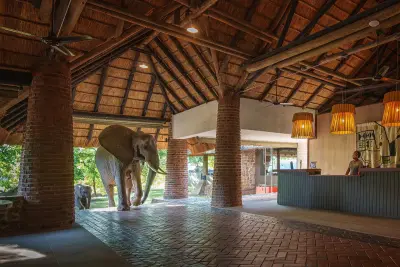 Mfuwe Lodge, South Luangwa, Zambia