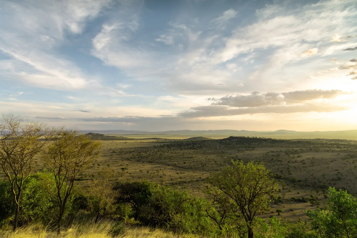 Milele — photo 5