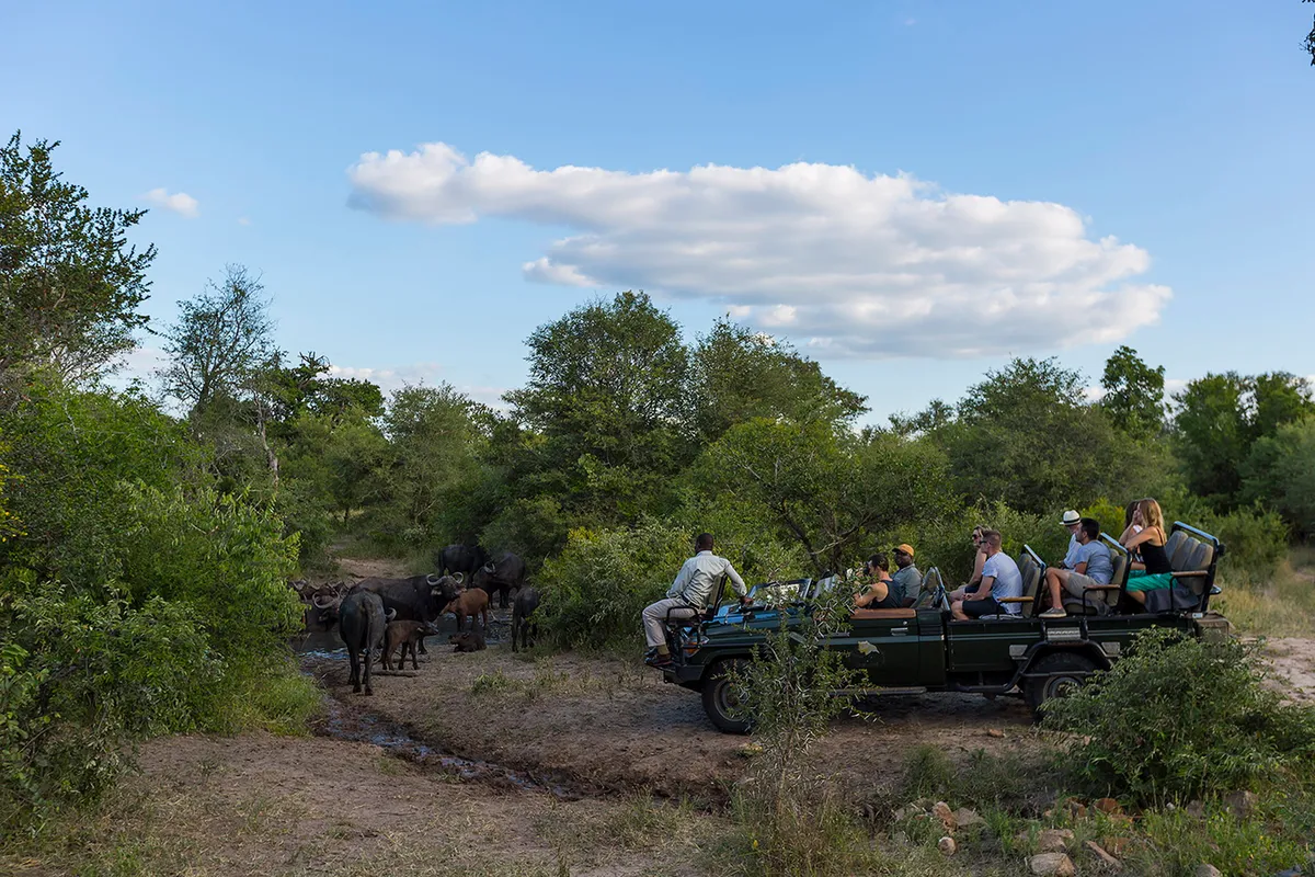 Monwana Game Lodge — photo 55