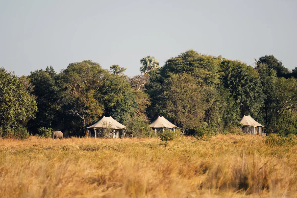 Musekese Camp — photo 2