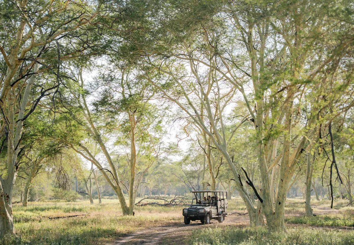 Muzimu Lodge — photo 15