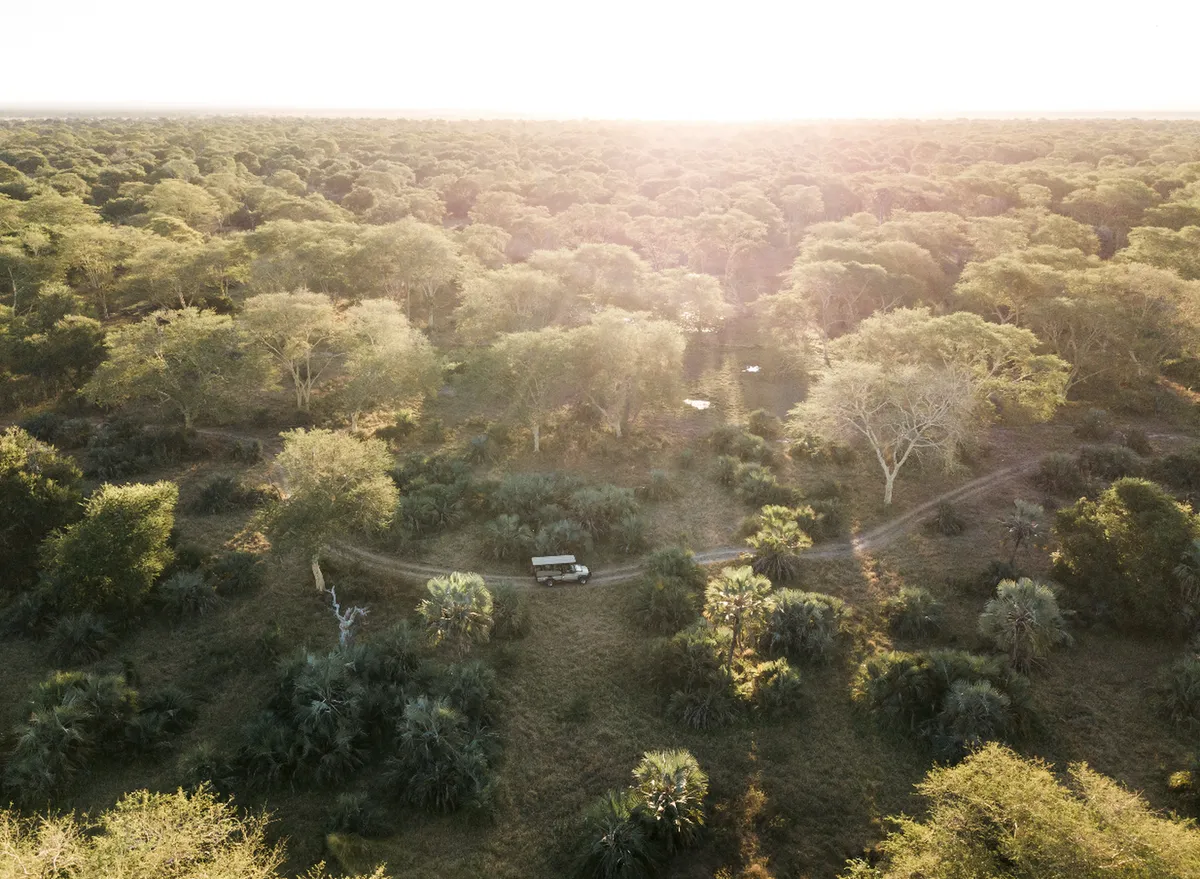 Muzimu Lodge — photo 16