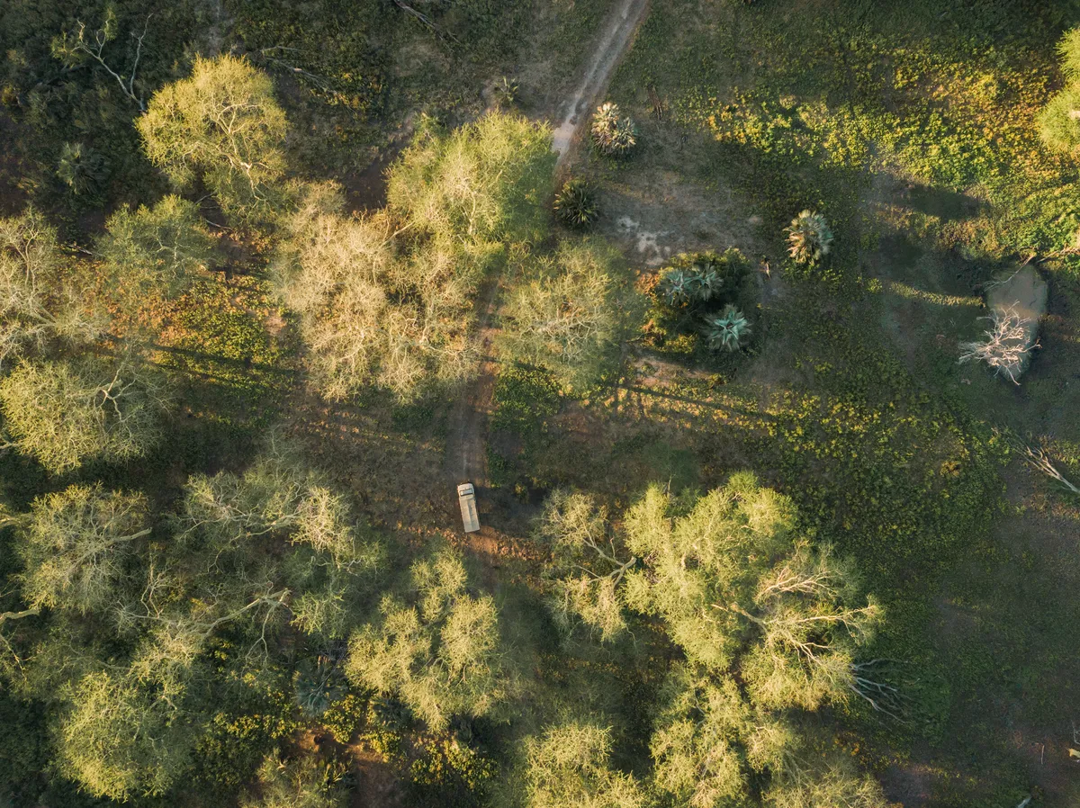 Muzimu Lodge — photo 17