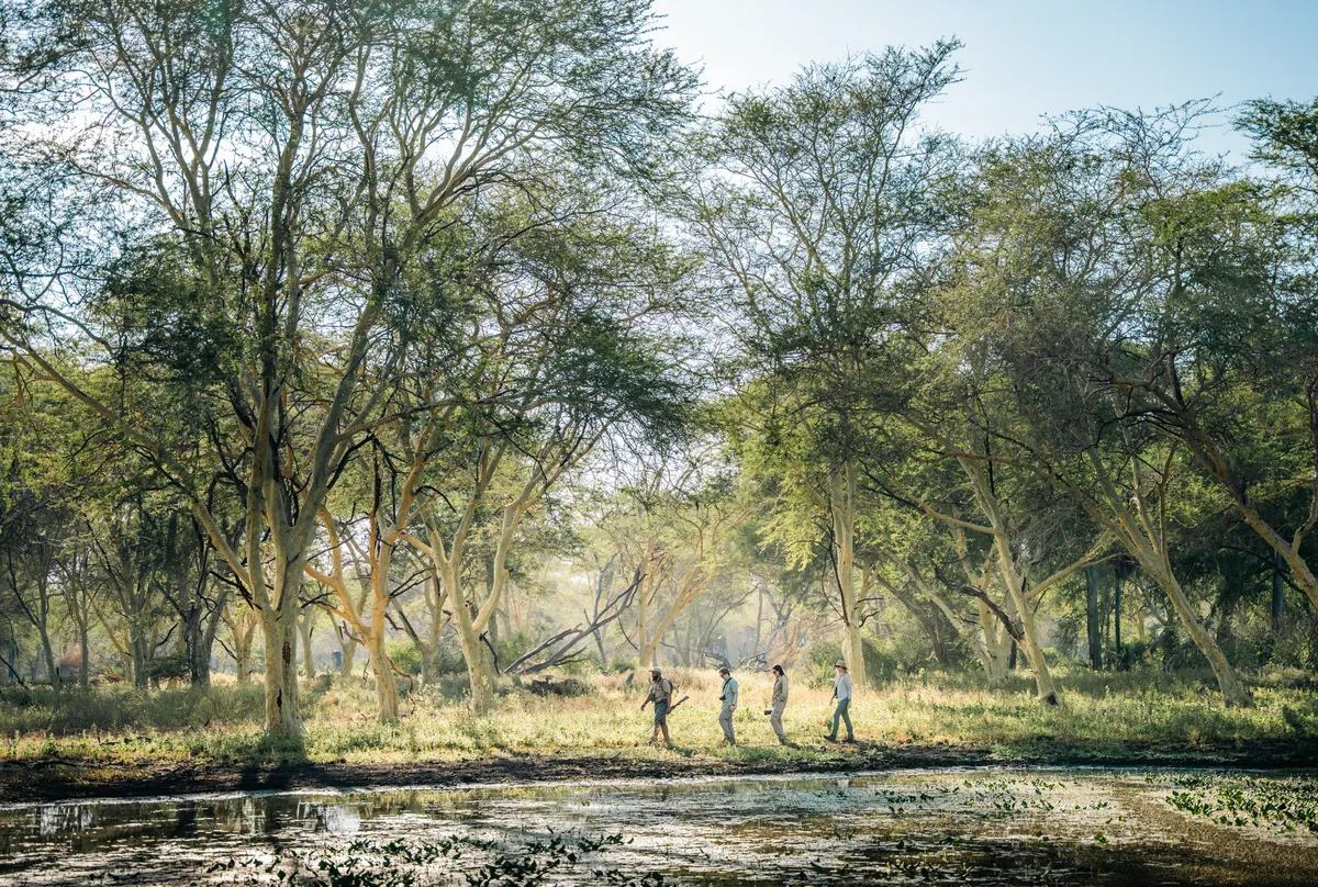 Muzimu Lodge — photo 36