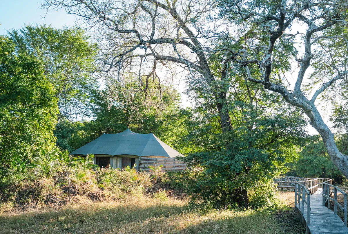 Muzimu Lodge — photo 4