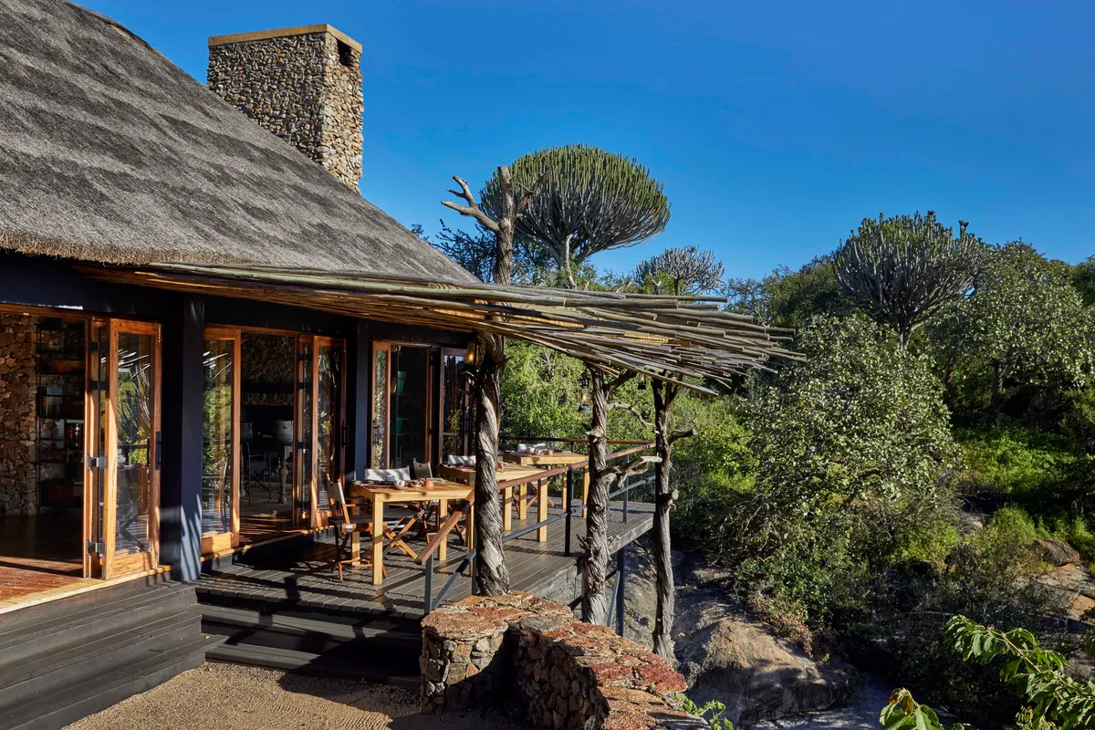 Mwiba Lodge — photo 27