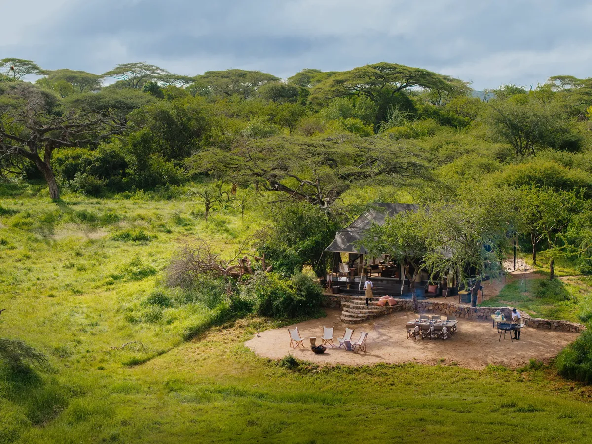 Mwiba Lodge — photo 33