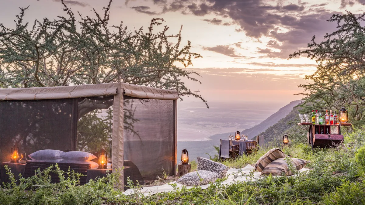 Mwiba Lodge — photo 40