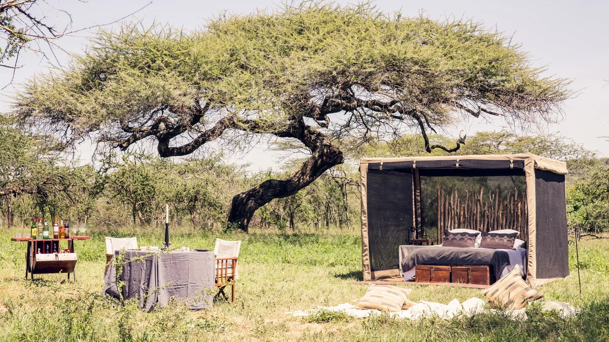 Mwiba Lodge — photo 41