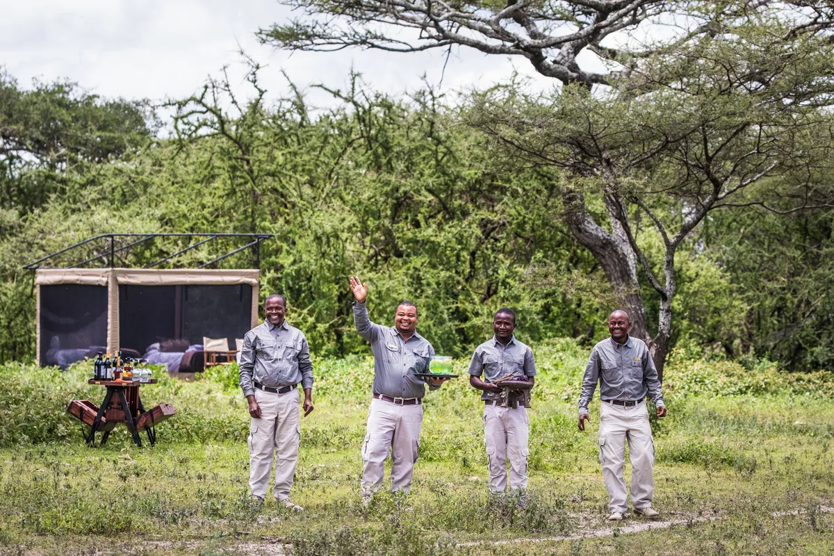 Mwiba Lodge — photo 42
