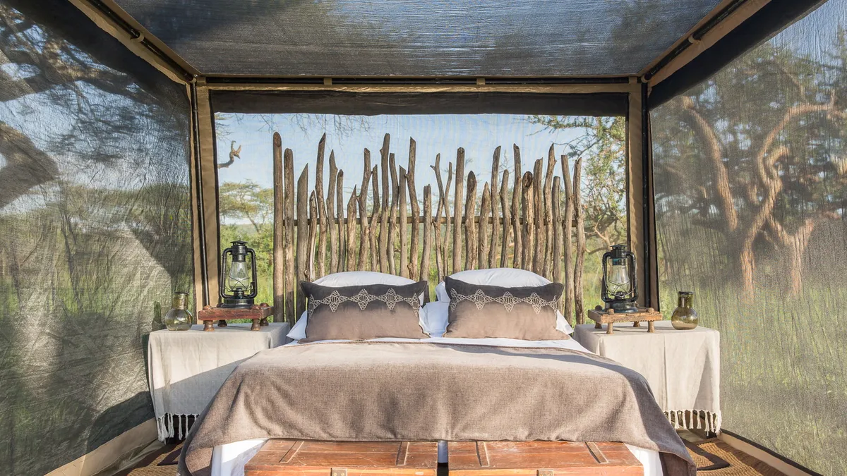 Mwiba Lodge — photo 43