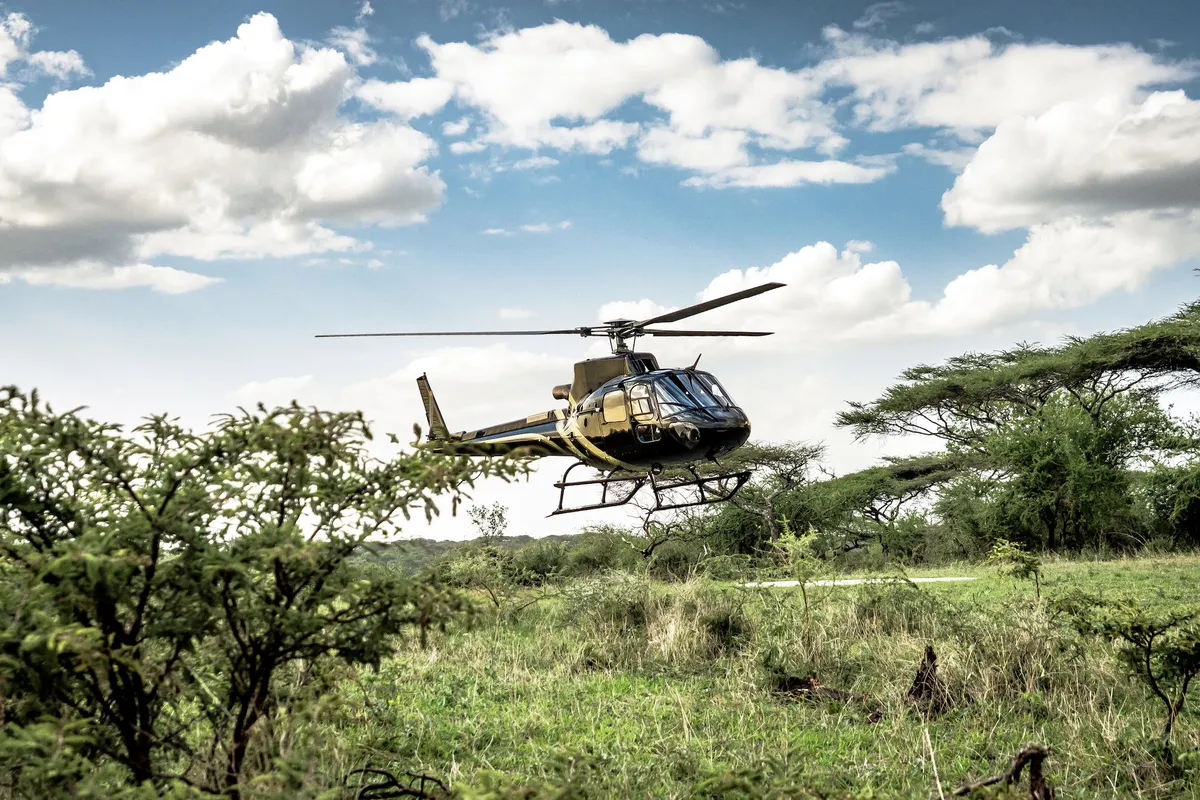 Mwiba Lodge — photo 44