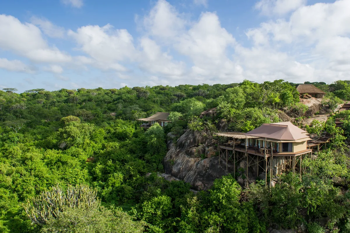 Mwiba Lodge — photo 57