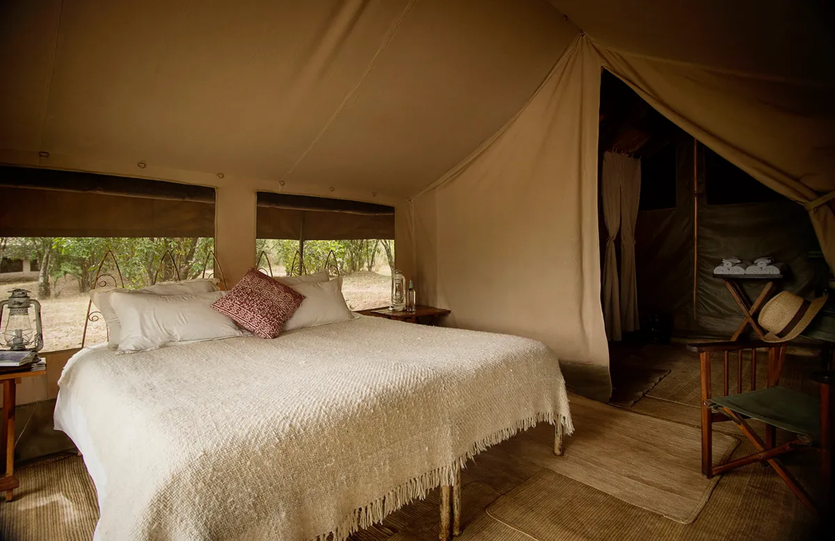 Nkorombo - Masai Mara — photo 15