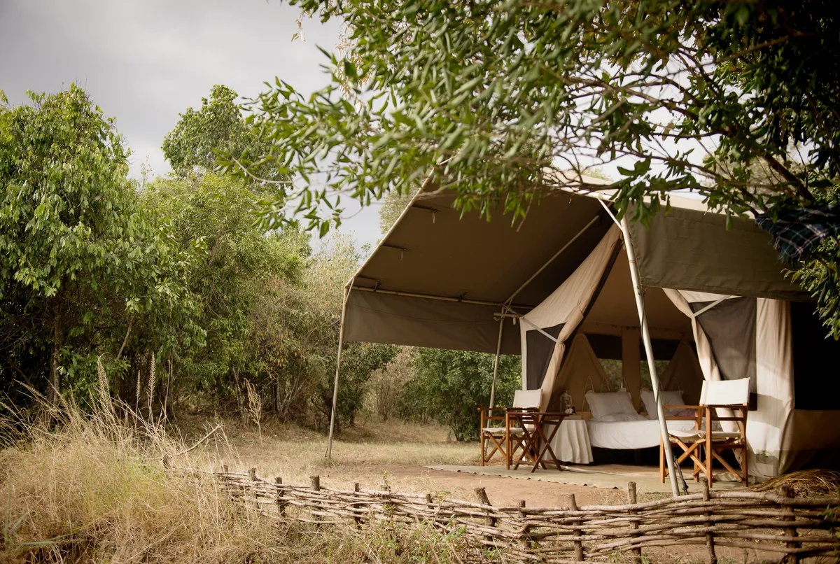 Nkorombo - Masai Mara — photo 2