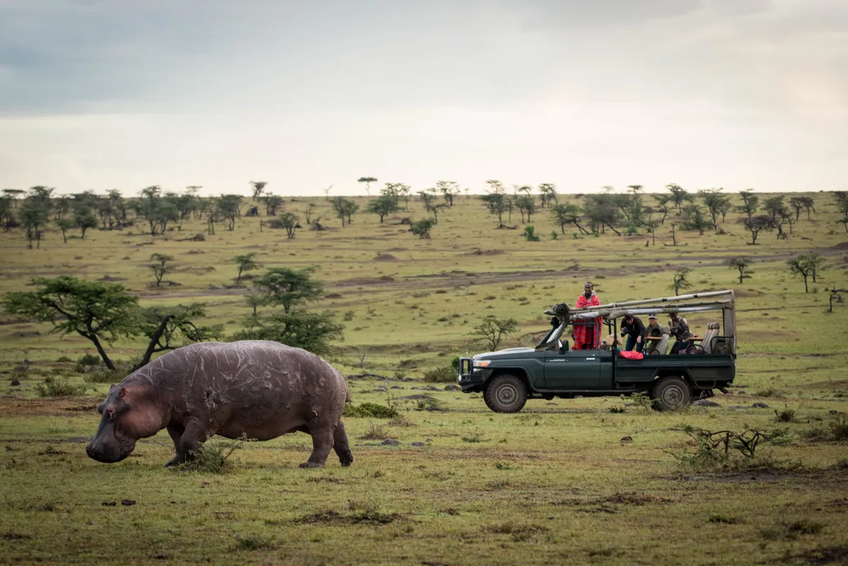 Nkorombo - Masai Mara — photo 5