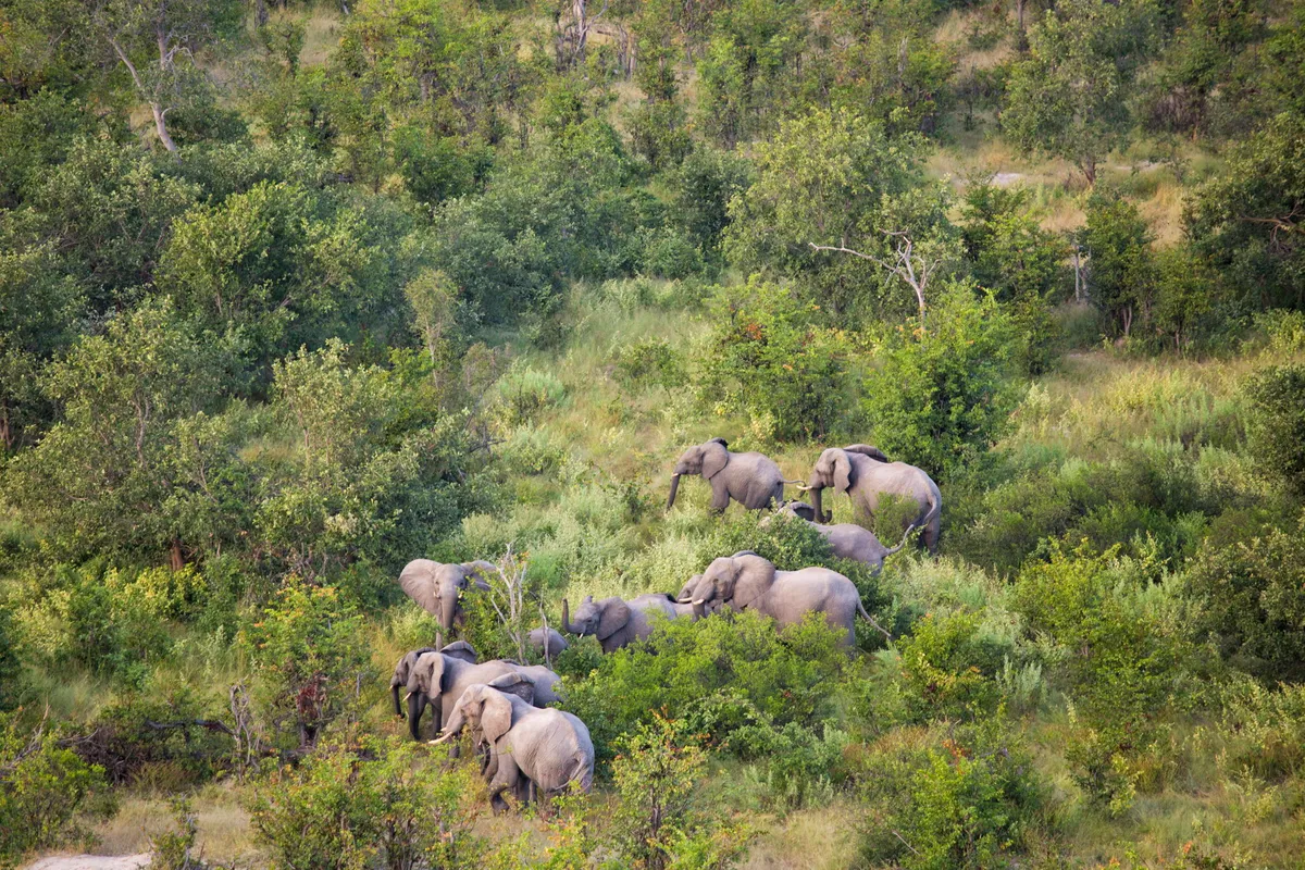 North Island Okavango — photo 28