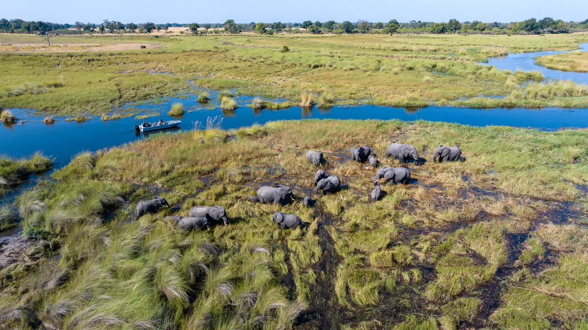 North Island Okavango — photo 36