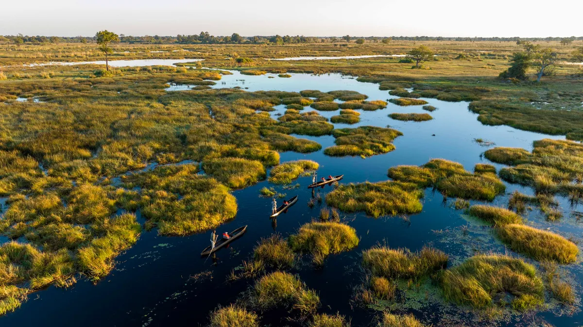 North Island Okavango — photo 41