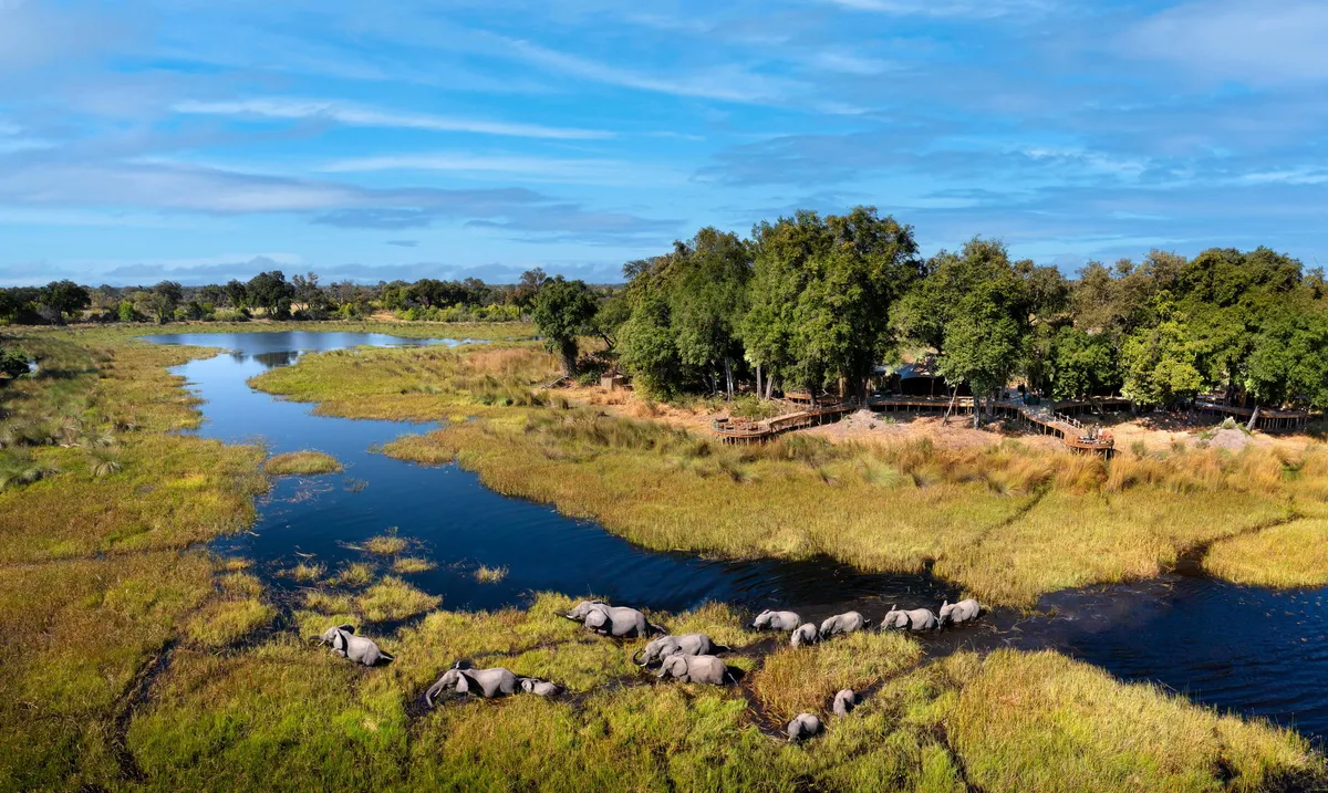 North Island Okavango — photo 6