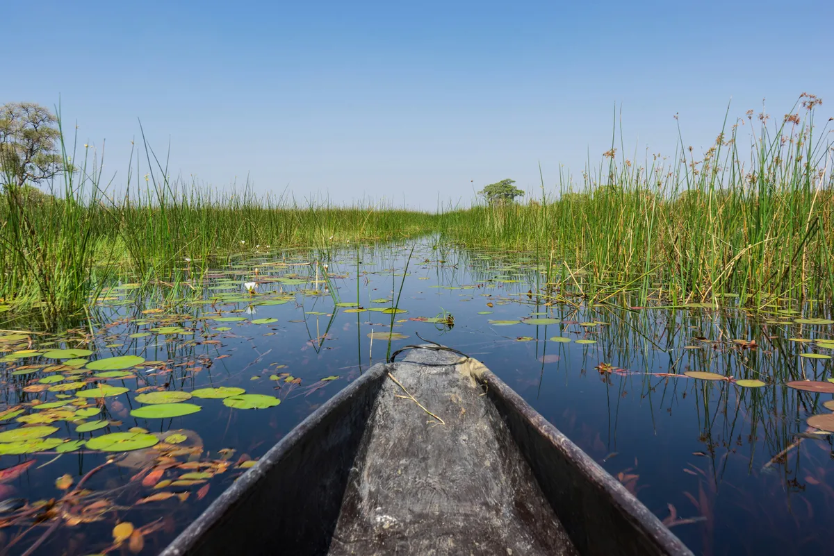 Okavango Delta (NG12)