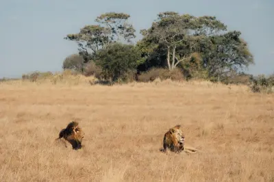 Ntemwa-Busanga Camp, Kafue, Zambia