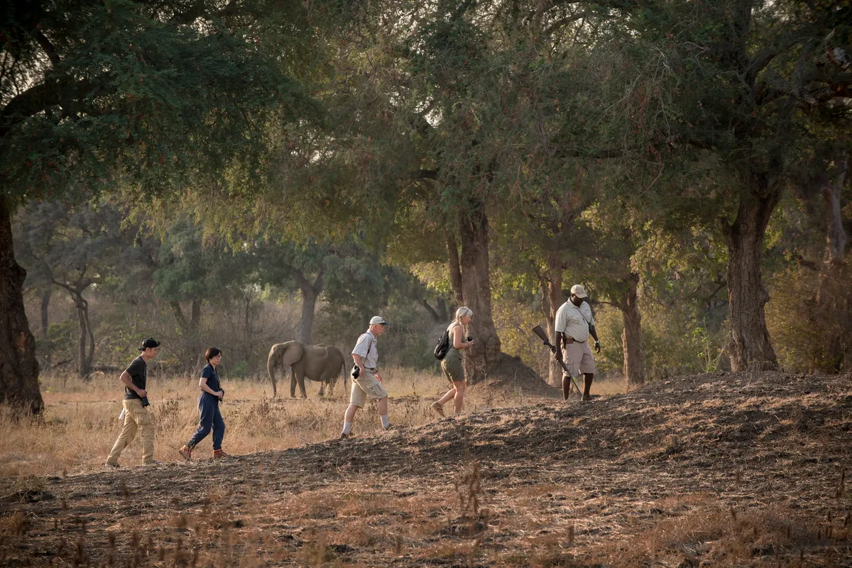 Nyamatusi Camp — photo 33