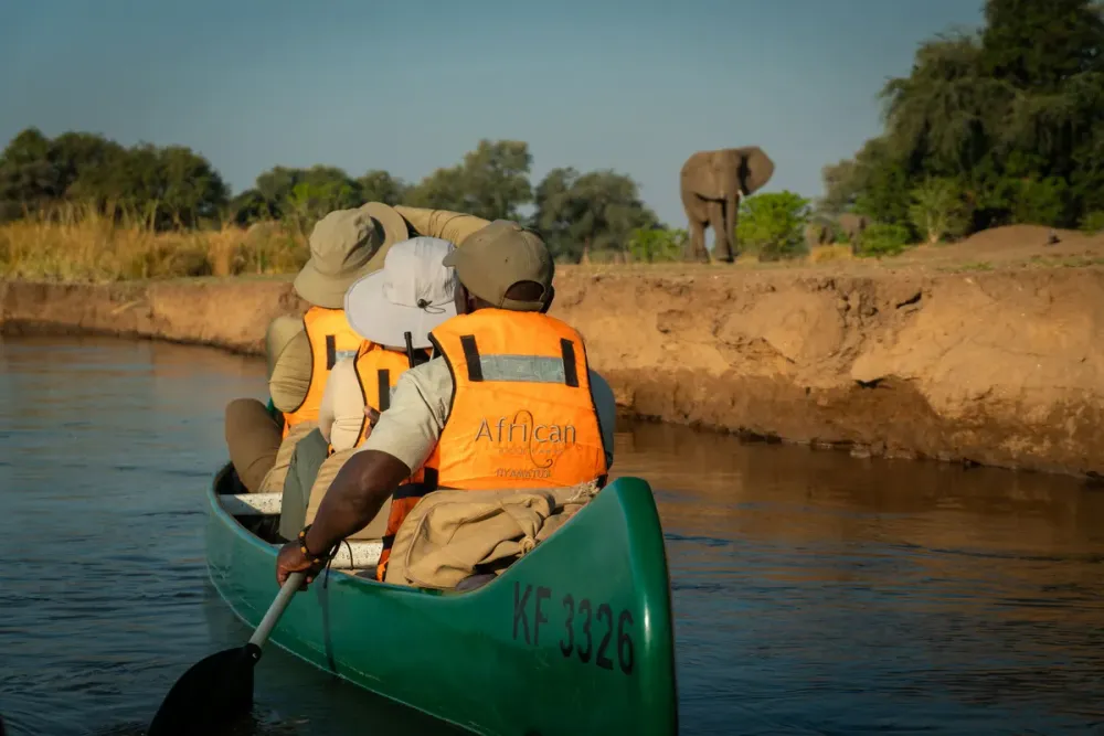 Nyamatusi Mahogany, Mana Pools National Park, Zimbabwe
