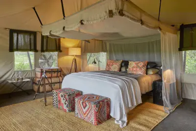 Nyasi, Serengeti North, Tanzania