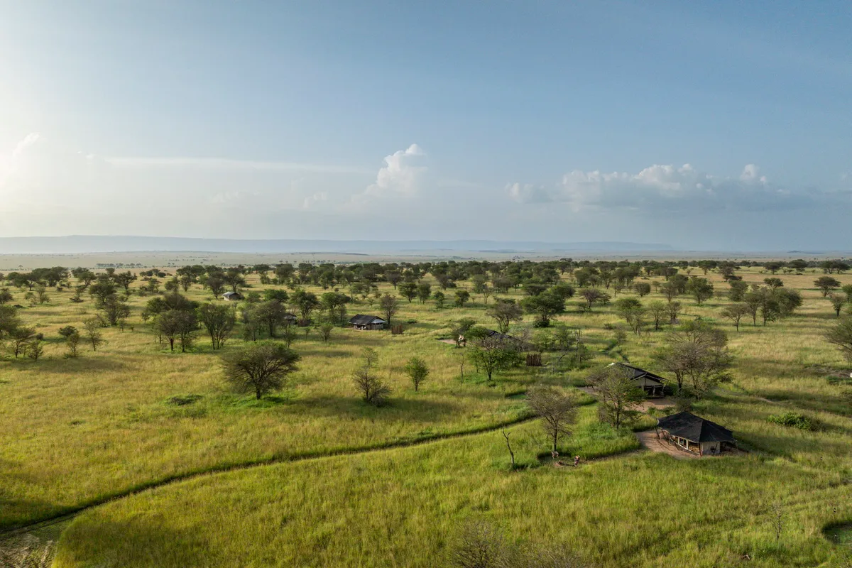 Nyasi — photo 19