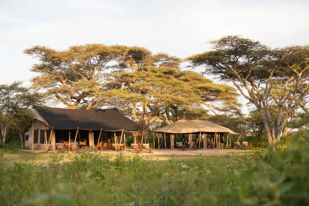 Nyasi, Serengeti North, Tanzania