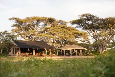 Nyasi, Serengeti North, Tanzania