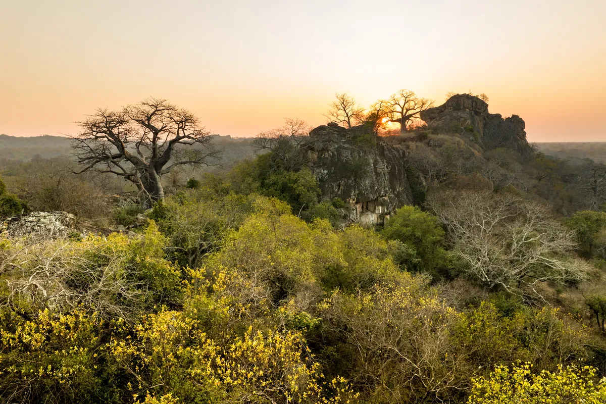 Pamushana Lodge — photo 66