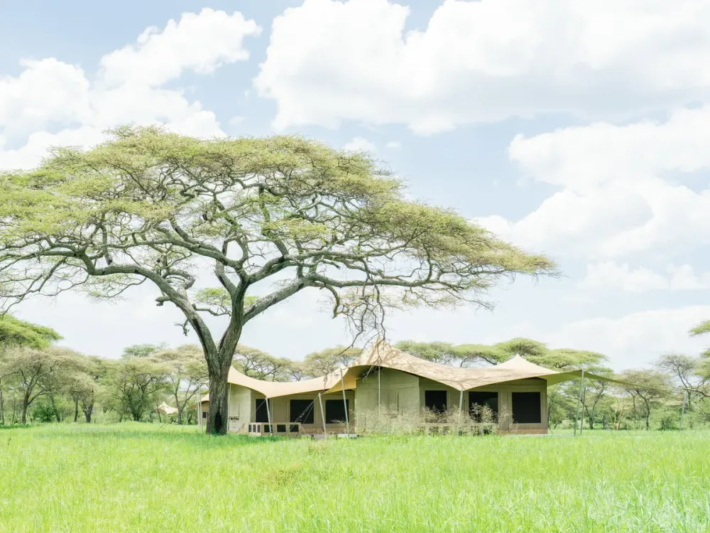 Roving Bushtops, Serengeti (mobile), Tanzania