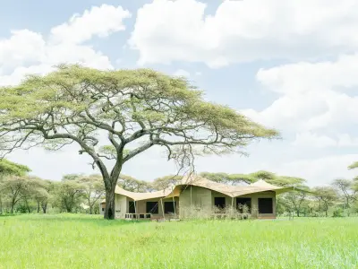 Roving Bushtops, Serengeti (mobile), Tanzania