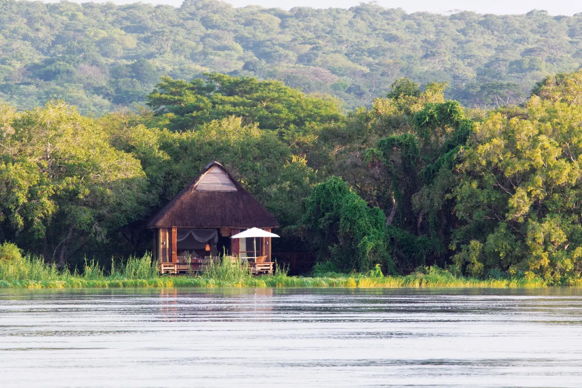 Royal Chundu — photo 2