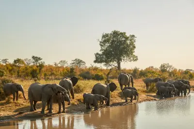 Royal Malewane, Greater Kruger (Thornybush), South Africa