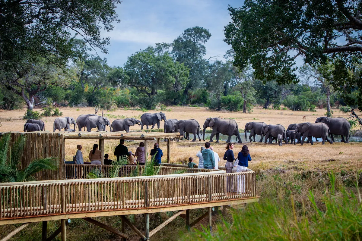 Sabi Sabi Bush Lodge — Sabi Sand (Greater Kruger), South Africa