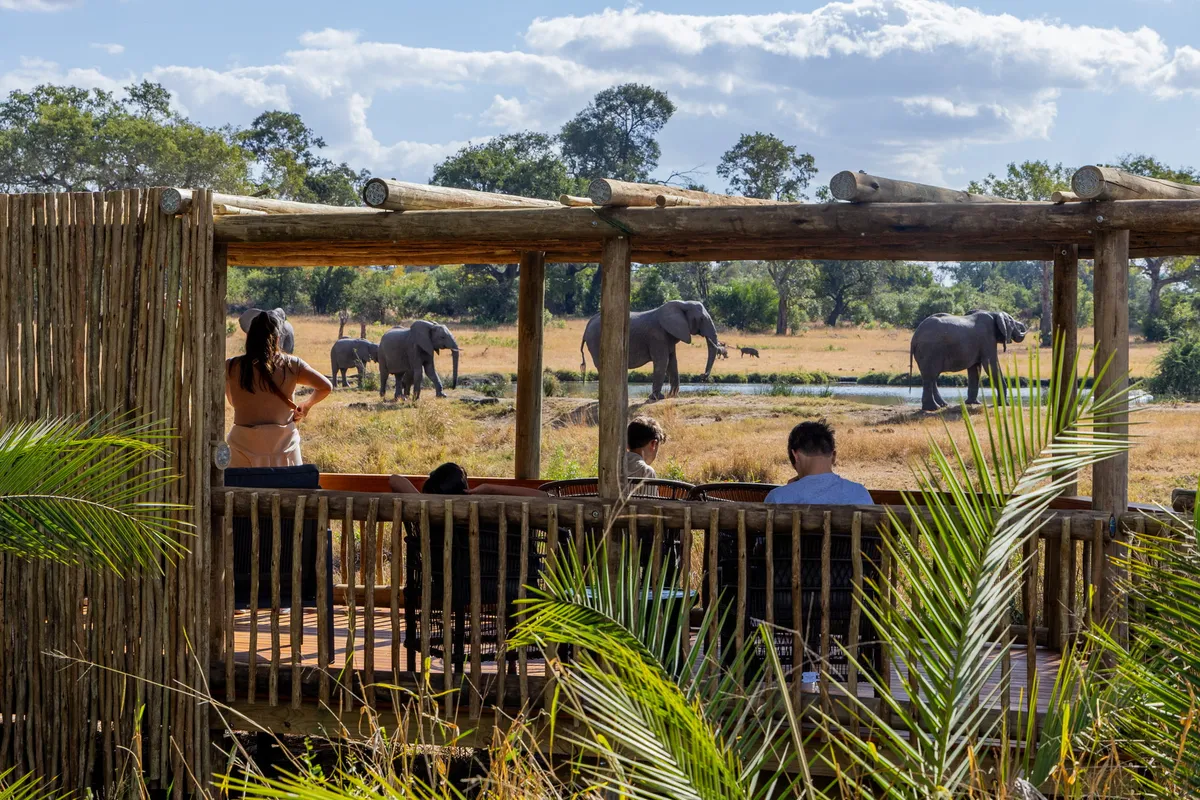 Sabi Sabi Bush Lodge — photo 2