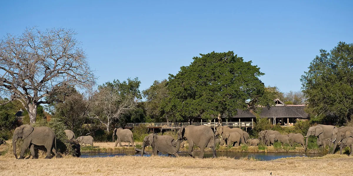 Sabi Sabi Bush Lodge — photo 38