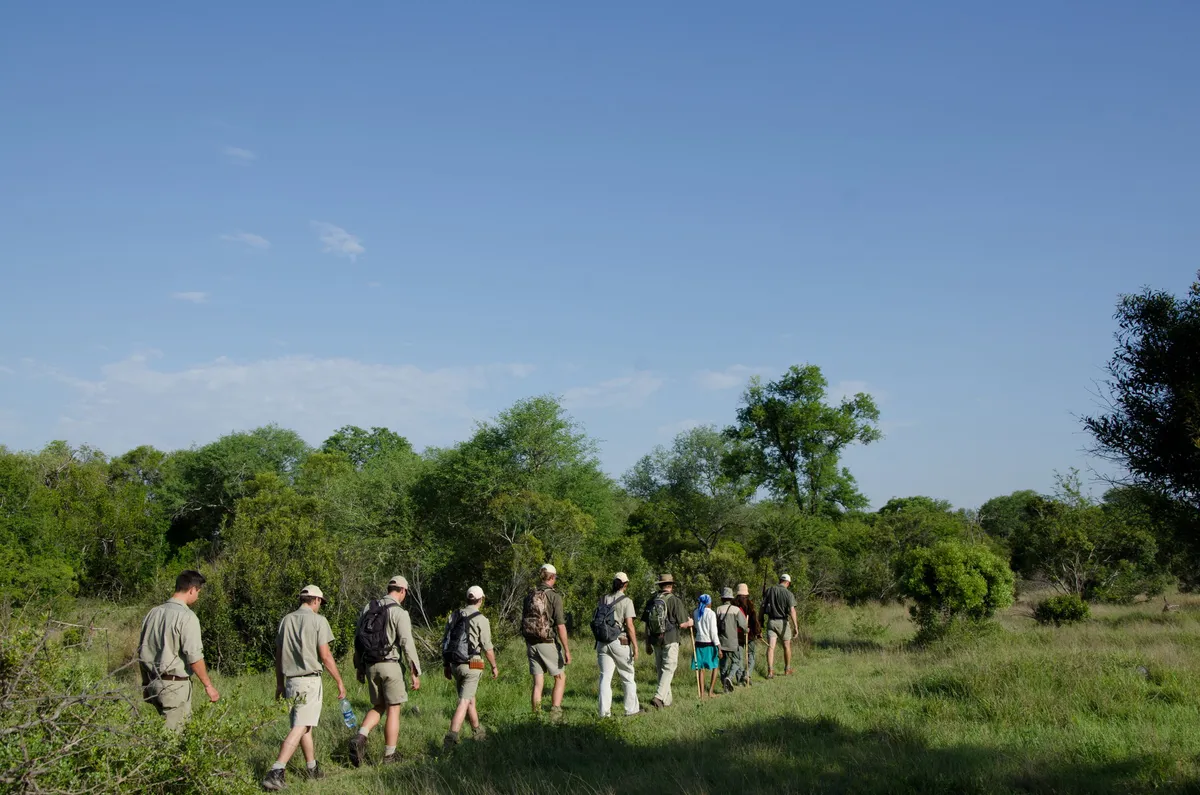 Sabi Sabi Bush Lodge — photo 51