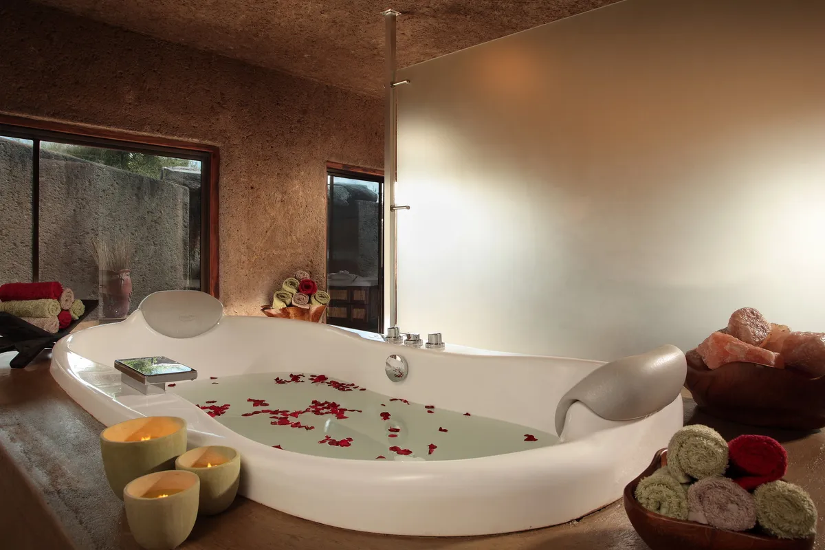 Sabi Sabi Earth Lodge — photo 2
