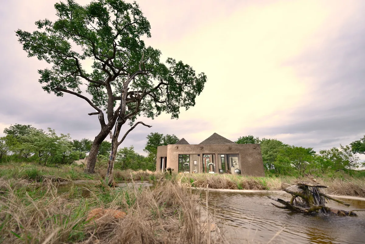 Sabi Sabi Earth Lodge — photo 22