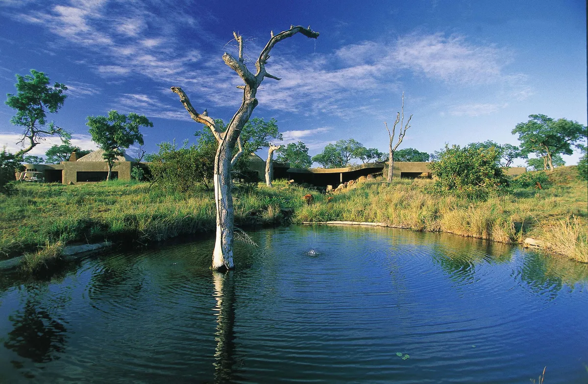Sabi Sabi Earth Lodge — photo 31