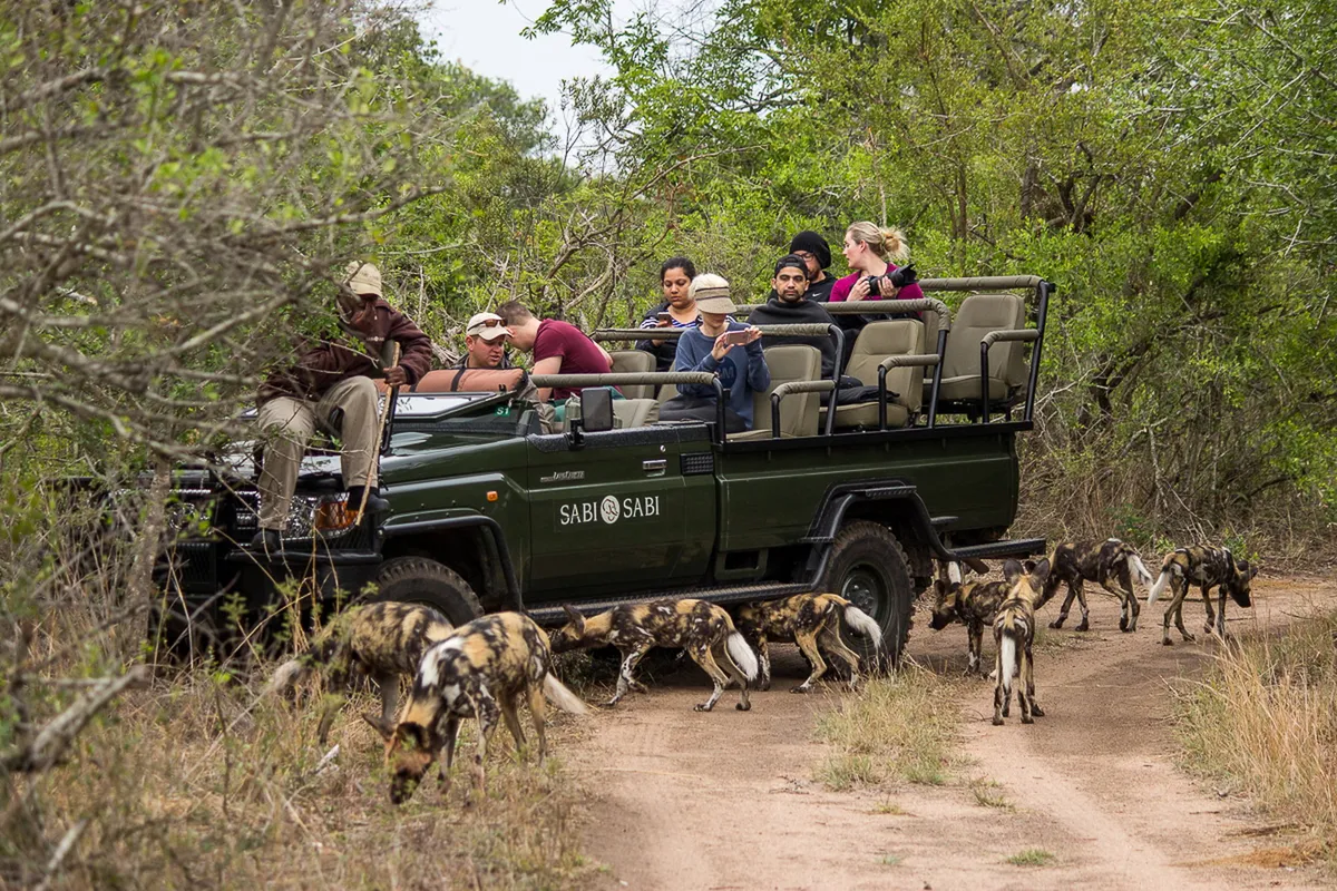 Sabi Sabi Earth Lodge — photo 37