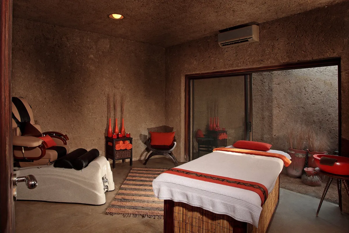 Sabi Sabi Earth Lodge — photo 4