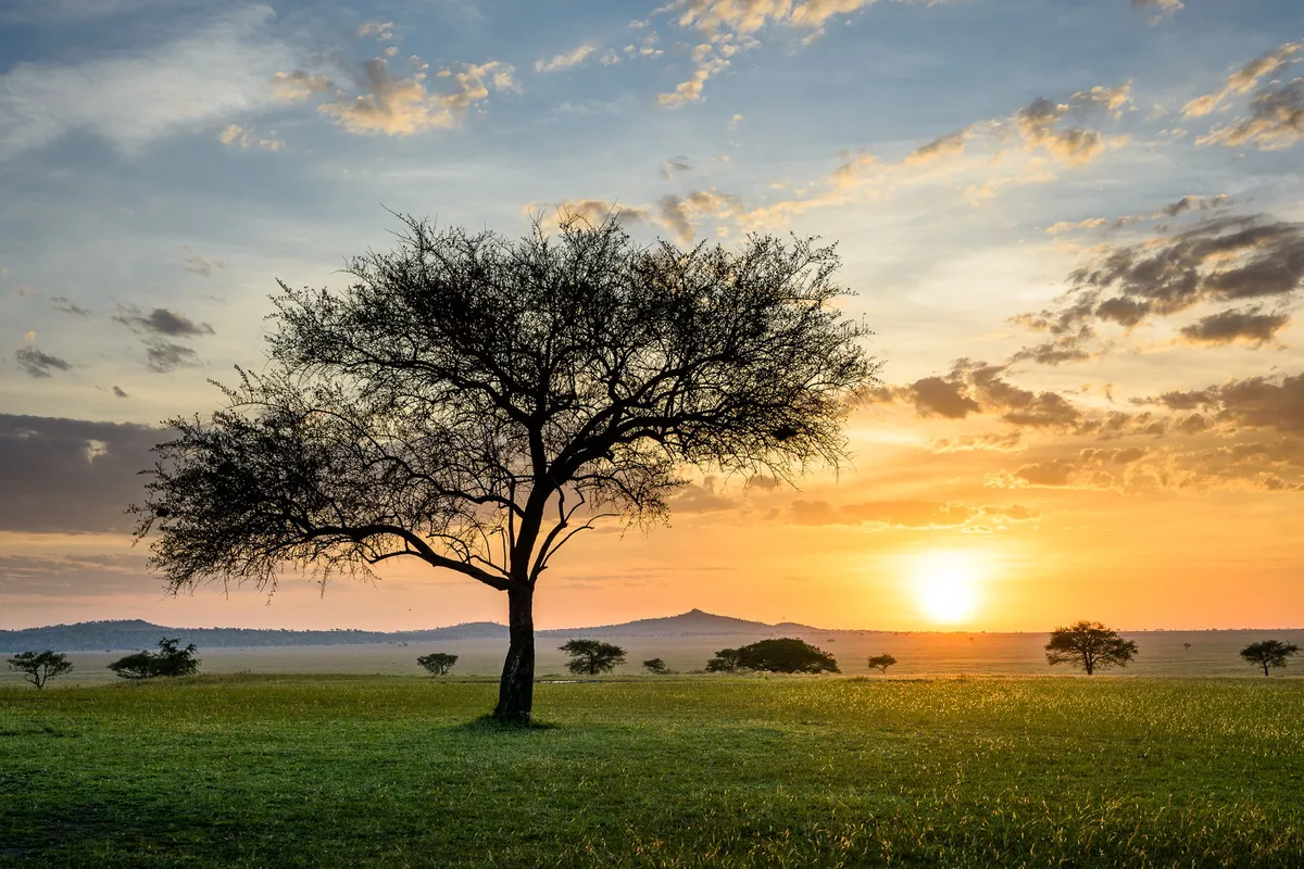 Sabora Tented Camp — photo 4